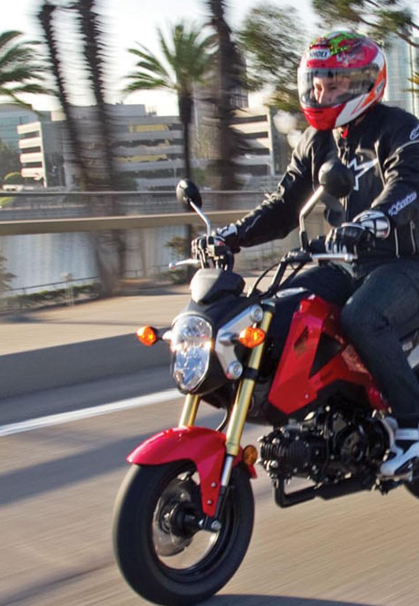 DUNLOP SCOOTSMART
