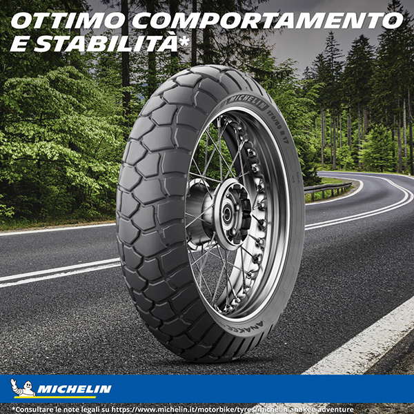 MICHELIN 160/60 R17 69V
