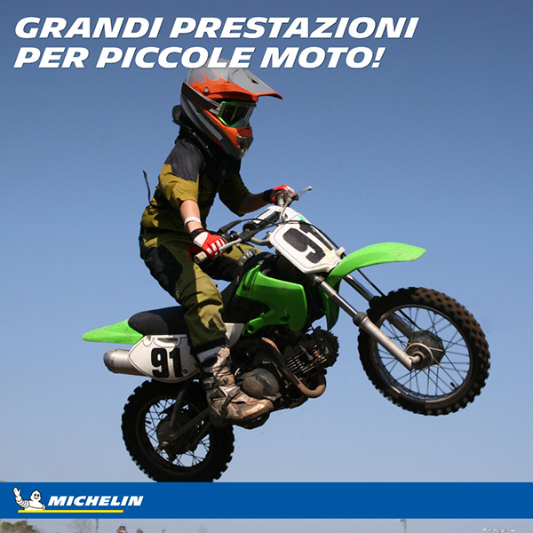MICHELIN 2.50 -12 36J